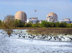 The South Texas Project nuclear plant